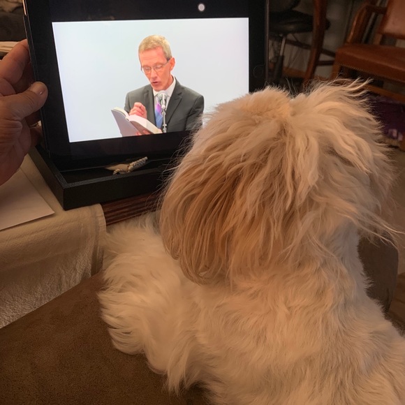 🌹WELCOME TO OUR CLOSET 🌺 - Picture 4 of 7